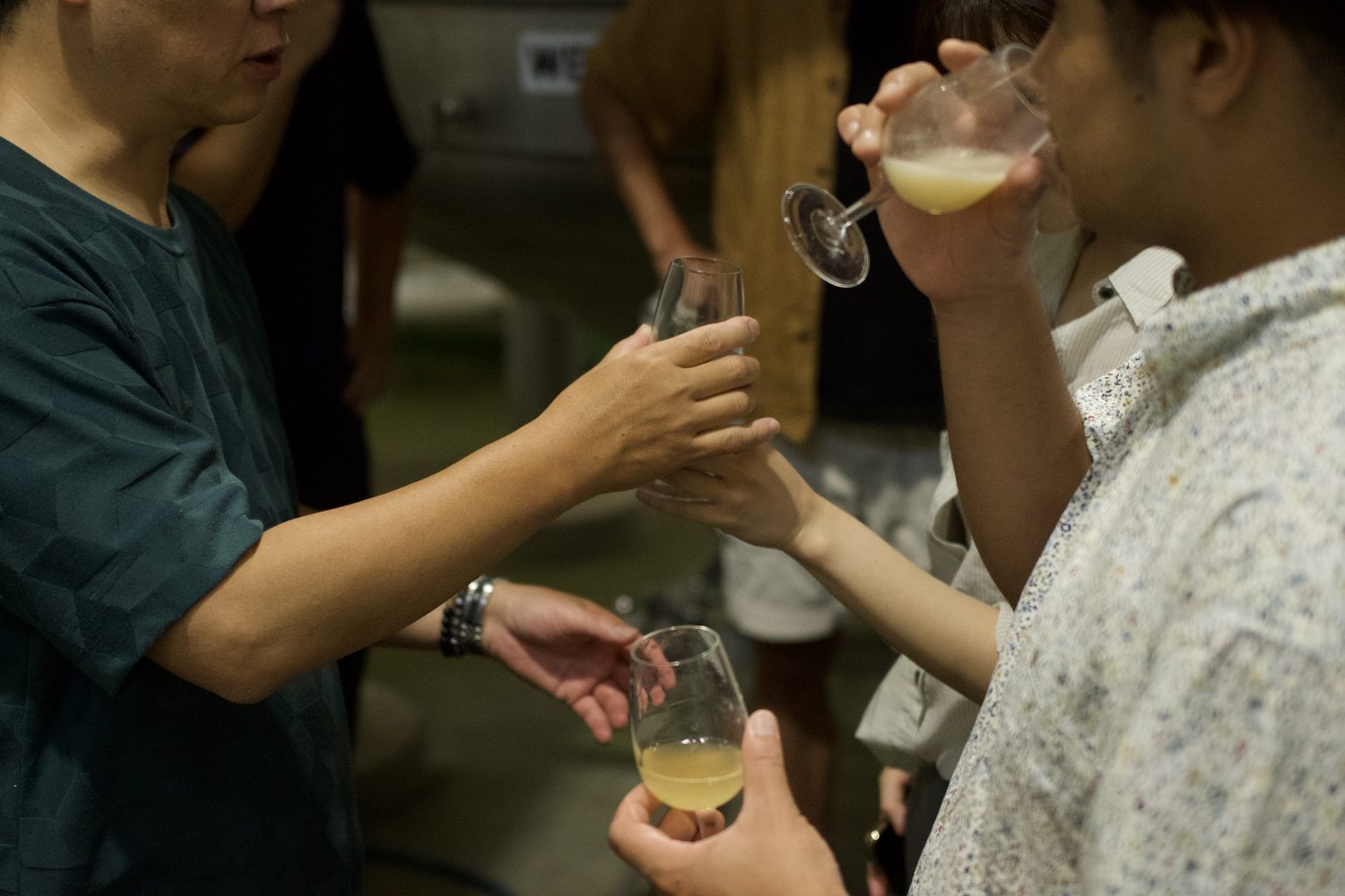 A toast with wort, compared across fermentation days